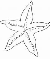 Starfish Coloring Pages Fish Amazing Star Printable Kids Preschool Crafts Mesmerizing Beauty Designlooter Color Animals 715px 41kb sketch template