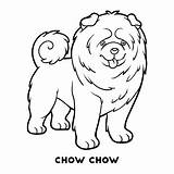 Chow Colorare Cibo Perros Razze Coloring Dibujos Ilustraciones Kolorowanka Razas Iconos sketch template