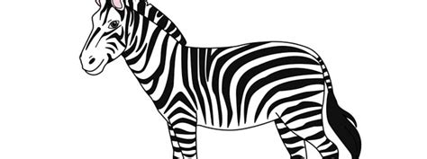 zebra cut  large