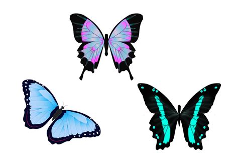 papillons illustration dessin image gratuite sur pixabay