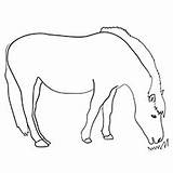 Horse Fjord Norwegian sketch template