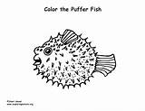 Fish Puffer Coloring sketch template