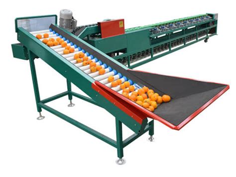 high quality automatic fruit  vegetable sorting machine china fruit
