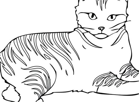 cat coloring pages printable   getcoloringscom  printable
