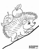 Hedgehog Coloring Autumn Animals Apple Sheet Print sketch template