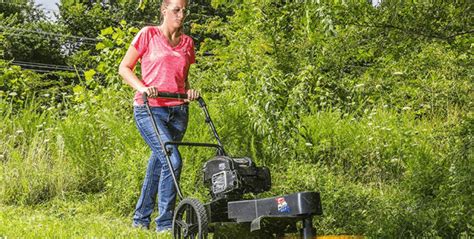 walk  string trimmer review guide     reviews  yearcom