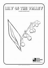 Valley Coloring Pages Getdrawings Lily sketch template