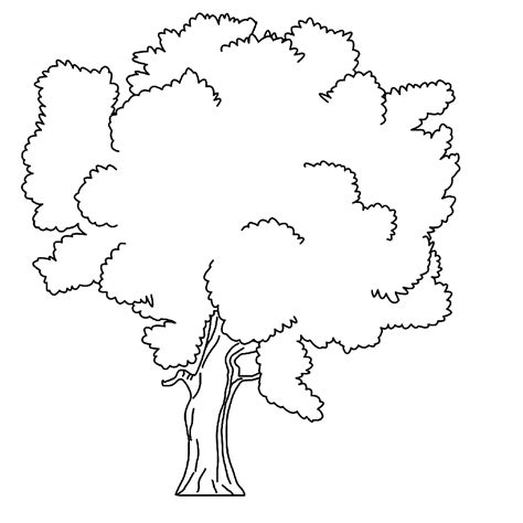fruitful tree coloring pages  kids uo printable trees