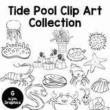 Tide Pool Clip Pools Subject sketch template