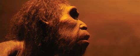 neanderthal sex could explain why europeans and africans have different