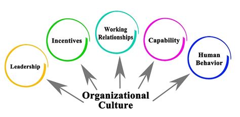 human resource management organizational culture