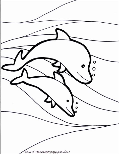coloring pages  dolphins  whales page  coloringfokids