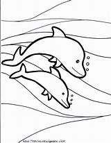 Dolphins Dofins Delfines Coloringhome sketch template