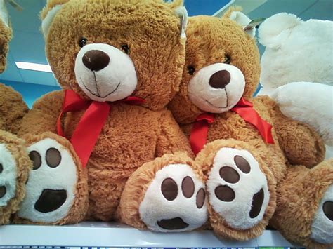 stuff teddy bears  grown ups