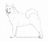 Akita Deviantart sketch template