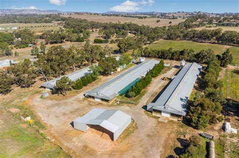 australias  commercial farms  sale