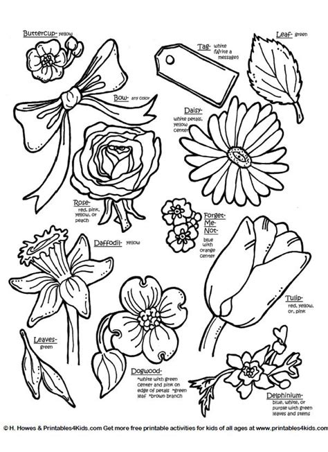 botanical flowers  names mothers day baskets coloring pages