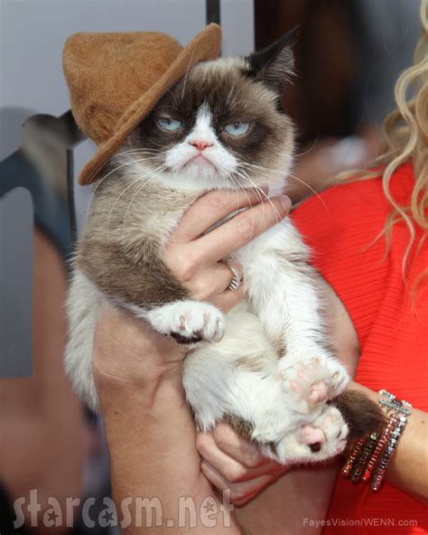 Why Do We Love Grumpy Cat So Much Pharrell S Hat