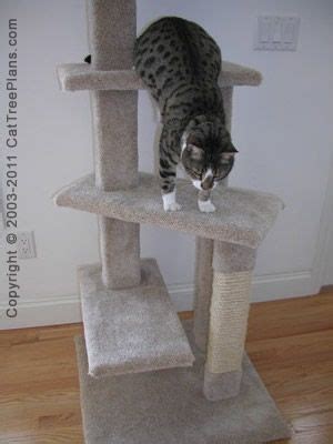 plan details cat tree furniture directions grizabella staircase cat tree plans cat tree