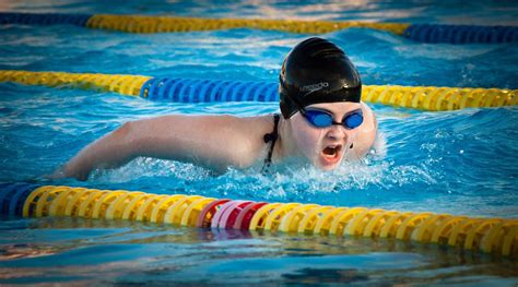 study shows competitive swimmer bodies consistent  morphology