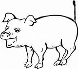Coloring Pig Hungry Want Eat sketch template