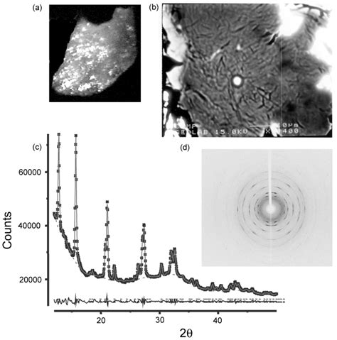 silica rich sample recovered   shergotty meteorite   scientific