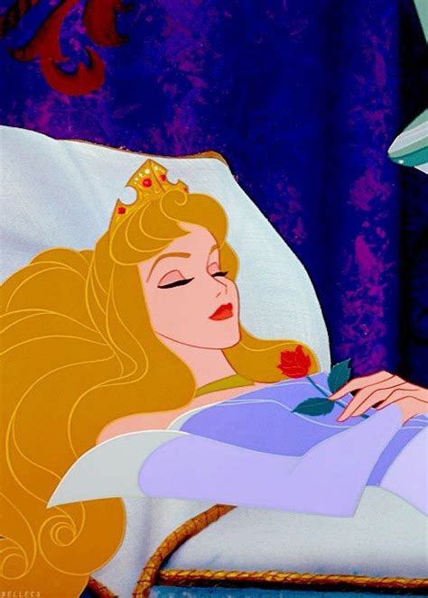 1211 best images about sleeping beauty on pinterest