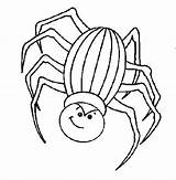 Coloring Pages Spider sketch template