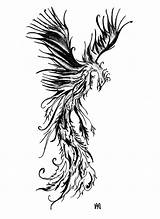Phoenix Tattoo Drawing Outline Desgin Fenice Tribal Tatuaggi Bird Feminine Tattoos Deviantart Per Disegni Designs Di Disegno Fire Getdrawings Tatuaggio sketch template