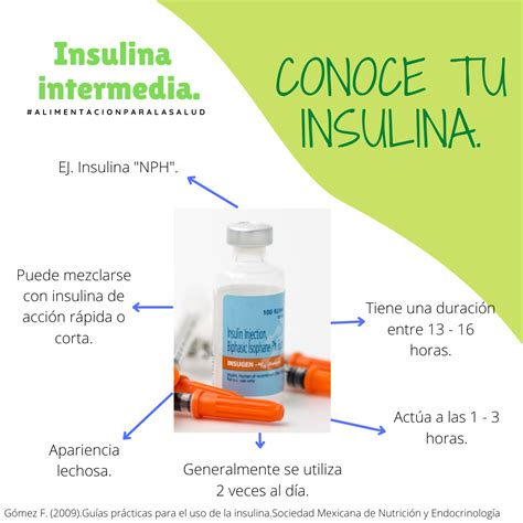 insulina intermedia alimentacion  salud