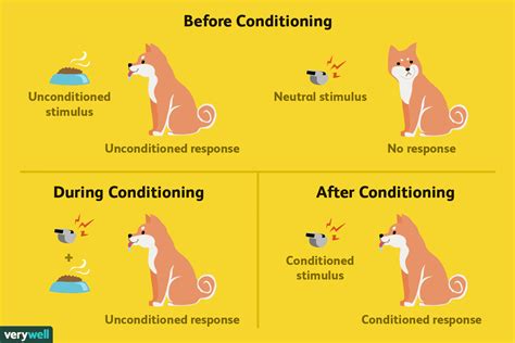 classical conditioning examples    works