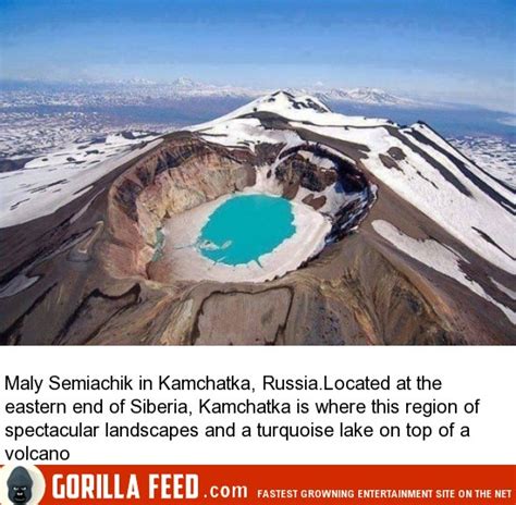 amazing places        pictures gorilla feed