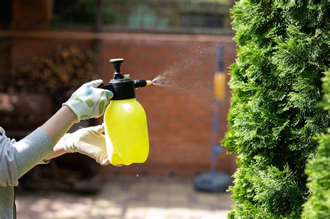 pesticide precautions    safe