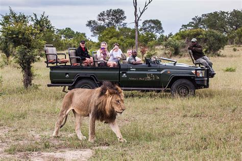 Kruger National Park Safari Why Go Go2africa