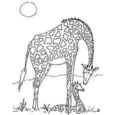 top   printable giraffe coloring pages  giraffe coloring