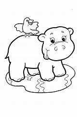 Coloring Pages Zoo Animal Cute Baby Animals Popular sketch template