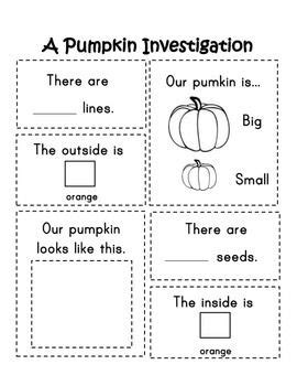 pumpkin investigation pumpkin investigation fall preschool autumn