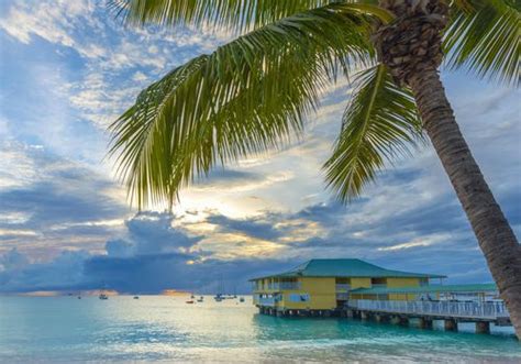 here s how to plan a honeymoon in barbados