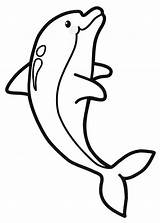 Delfini Dolphin Wonder Delfino Dolphins Colorear Delfines sketch template