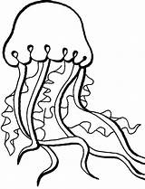 Medusa Meduse Piace sketch template