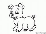Pig Cute Coloring Pages Printable Pigs Baby Drawing Animals Everfreecoloring Getdrawings Drawings sketch template