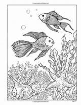 Coloring Pages Adults Line Sea Adult Books Book Under Ocean Rainbow Life Alena Amazon Choose Board Marine sketch template