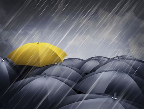 basics  umbrella insurance