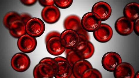 ¿por qué tenemos distintos tipos de sangre bbc news mundo