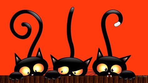 gatos negros  de muertos halloween cute halloween wallpaper hd