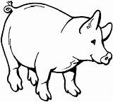 Pig Coloring Fat Cute Printable Pages Books Colouring sketch template