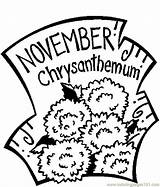 Coloring Chrysanthemum Pages November Printable Popular Color sketch template