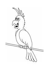 Parrot Coloring Cartoon Pages Parrots African Grey Two Supercoloring Printable Categories sketch template