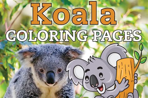 cute baby koala coloring pages cartoon