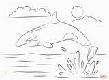 Coloring Whale Pages Killer Shamu Orca Water Cute Printable Jumping Sheet Whales Drawing Kids Sheets Template Supercoloring Divyajanani Cartoon Fish sketch template